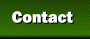 Contact Information